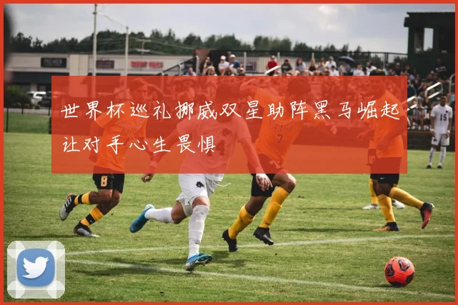 世界杯巡礼挪威双星助阵黑马崛起让对手心生畏惧