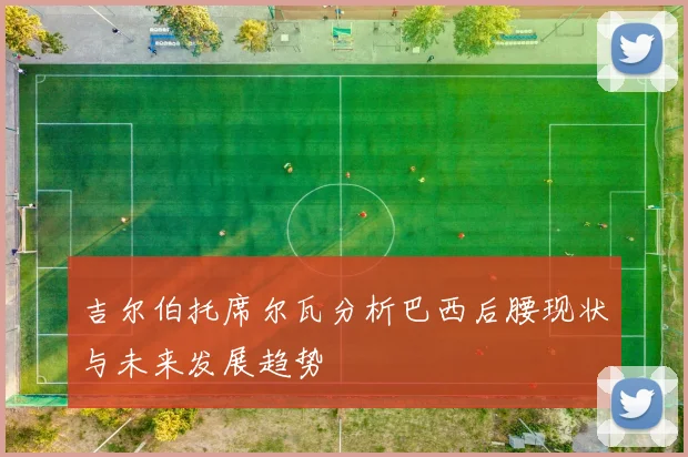 吉尔伯托席尔瓦分析巴西后腰现状与未来发展趋势